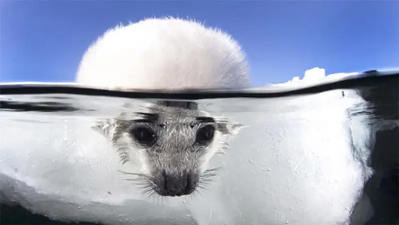 Фотографии на грани двух миров