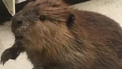 Zakon.kz, фото - Новости Zakon.kz от 06.12.2016 18:18