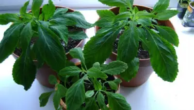 Zakon.kz, фото - Новости Zakon.kz от 11.06.2015 14:55