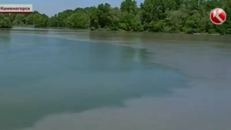 Ульба окрасилась в жуткий серый цвет