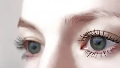 из открытых источников, фото - Новости Zakon.kz от 12.11.2018 08:57