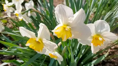 тепло, города, погода, фото - Новости Zakon.kz от 21.04.2023 17:47