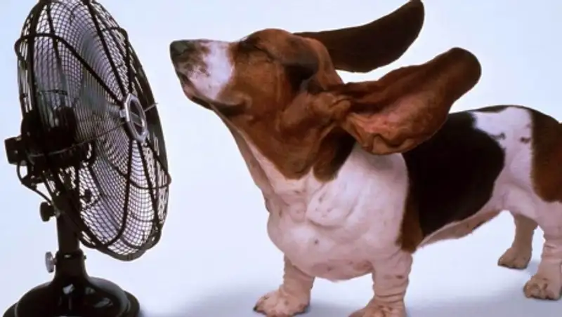 Сильная жара сохранится на большей части Казахстана в понедельник