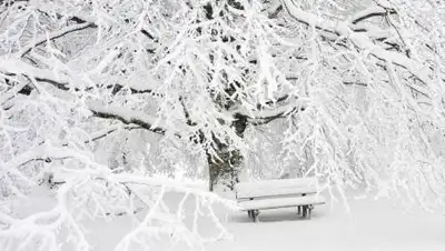 ВЕСТИ22, фото - Новости Zakon.kz от 23.01.2021 06:10