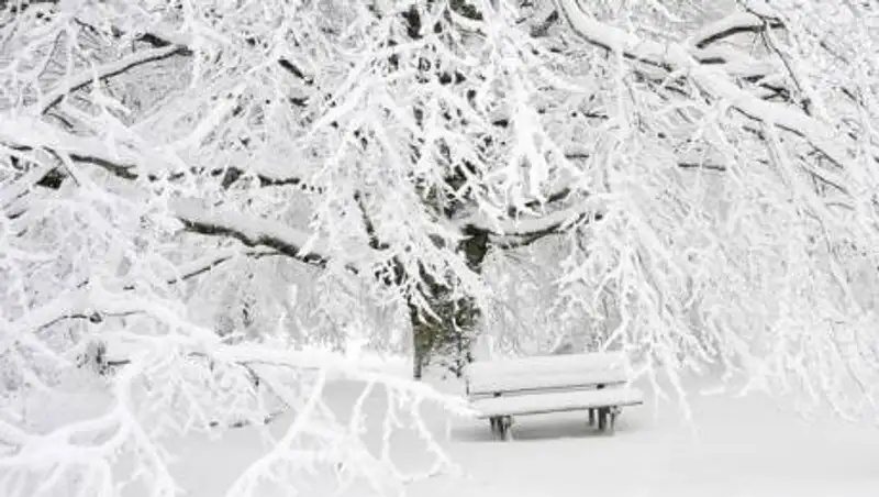 Сильный снегопад, гололед, туман и ветер. Какой будет погода в Казахстане 23 января?