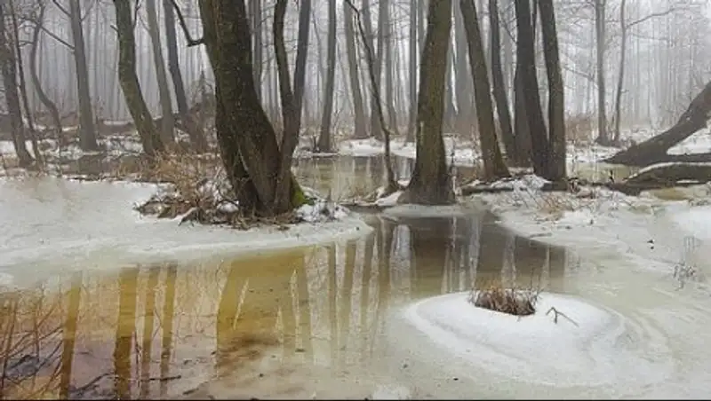 Туманная пятница ждет казахстанцев