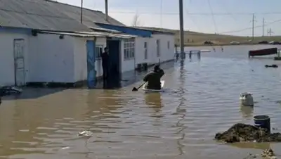 Zakon.kz, фото - Новости Zakon.kz от 24.04.2015 18:56