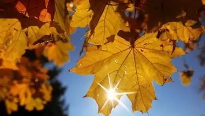 Zakon.kz, фото - Новости Zakon.kz от 06.10.2017 14:36