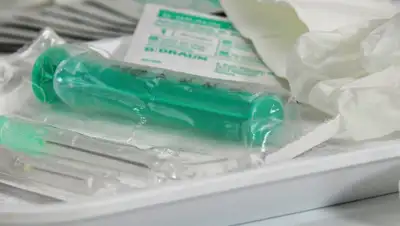 Pixabay, фото - Новости Zakon.kz от 05.12.2019 23:32