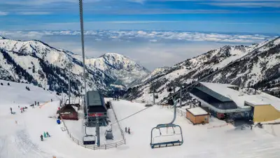 olympic.kz, фото - Новости Zakon.kz от 17.03.2020 20:21