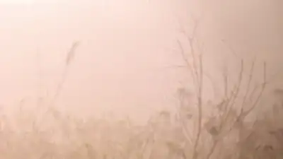 В каких городах Казахстана ожидаются неблагоприятные метеоусловия, фото - Новости Zakon.kz от 16.05.2023 02:21