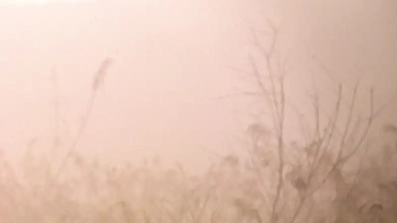 В каких городах Казахстана 16 мая ожидаются неблагоприятные метеоусловия