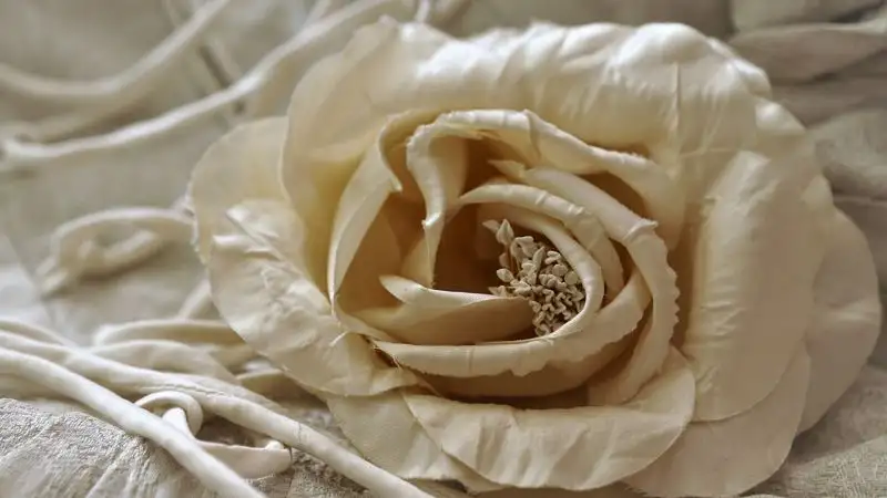 Cтилист назвал главный цвет сезона в одежде