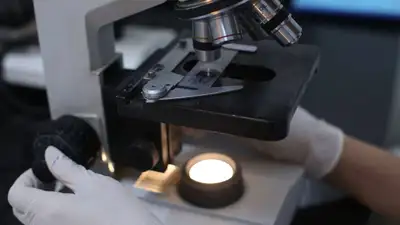 pixabay, фото - Новости Zakon.kz от 14.11.2021 20:44