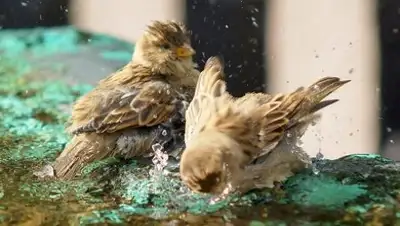 Zakon.kz, фото - Новости Zakon.kz от 02.05.2017 12:00