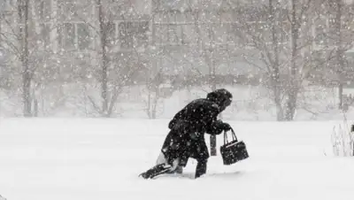 24kz, фото - Новости Zakon.kz от 16.01.2020 06:07