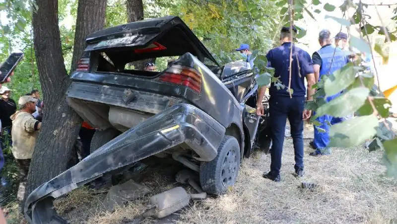 машина врезалась в дерево , фото - Новости Zakon.kz от 23.08.2022 18:16