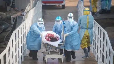 novayagazeta, фото - Новости Zakon.kz от 30.07.2020 07:41