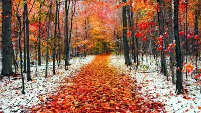 Zakon.kz, фото - Новости Zakon.kz от 01.11.2017 13:07