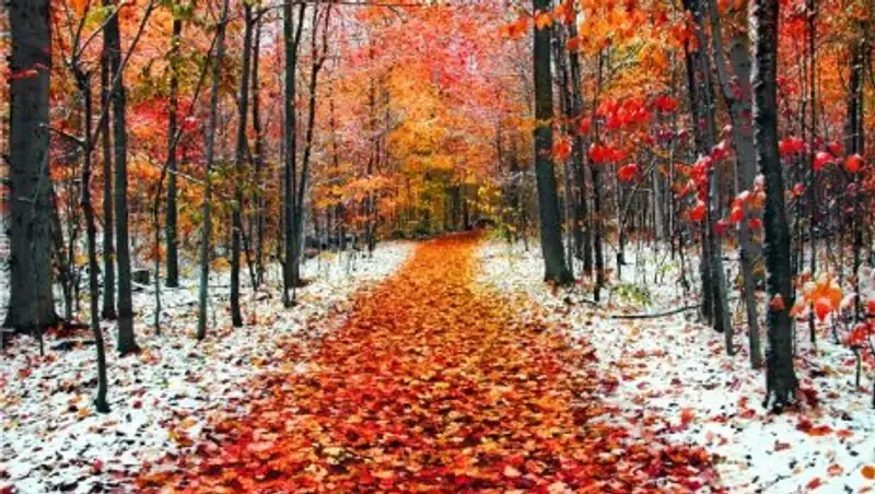 Какая погода ожидает казахстанцев в ноябре