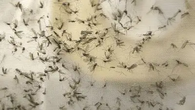 Zakon.kz, фото - Новости Zakon.kz от 11.10.2016 19:00