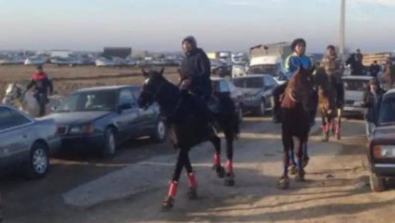 Очередной кокпар на 200 человек устроили в Туркестанской области