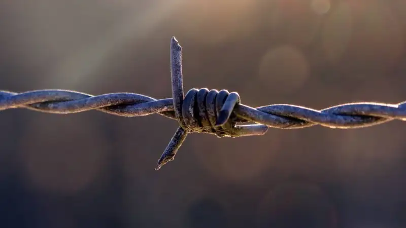 Мигранты перекусили проволоку и сломали часть забора на границе Польши