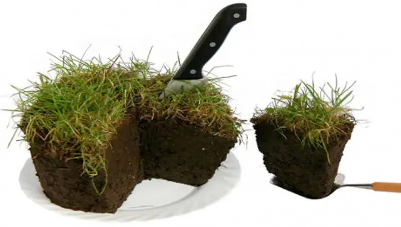 88 семей в Алматинской области узнали, что живут на чужой земле