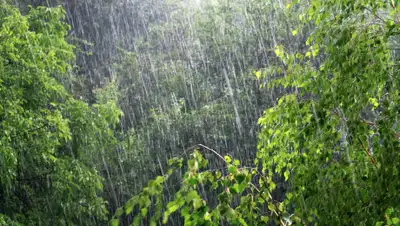 asfera.info, фото - Новости Zakon.kz от 04.09.2019 18:13