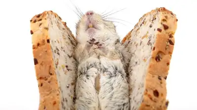 исследование, фото - Новости Zakon.kz от 07.02.2023 00:49