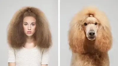 cameralabs.org, фото - Новости Zakon.kz от 06.10.2018 21:39