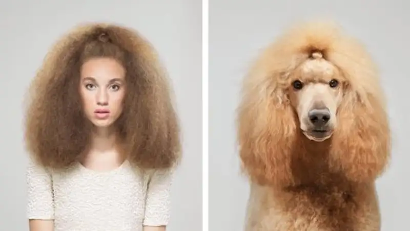 Собаки и их люди – фотопроект об удивительном сходстве питомцев и владельцев