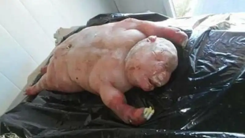 Рождение необычного ягненка вызвало настоящую панику в африканской деревне