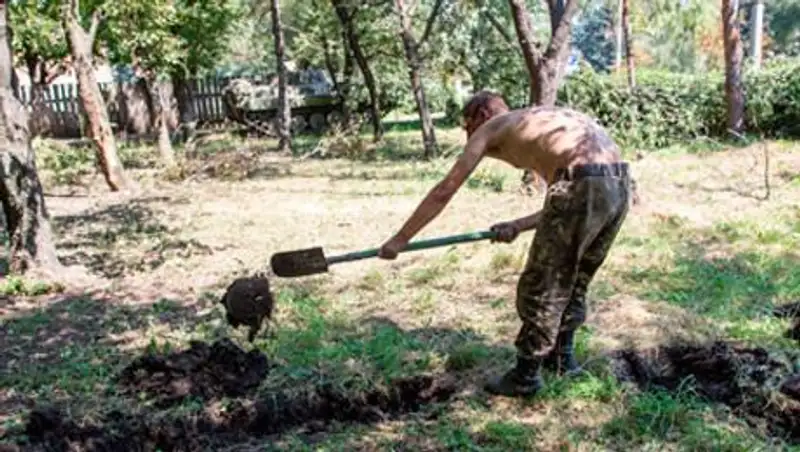 В ДНР назвали число найденных в братских могилах тел