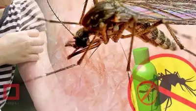 Zakon.kz, фото - Новости Zakon.kz от 01.07.2015 16:48