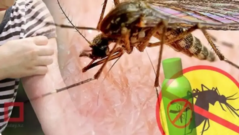 Укусы комаров в Астане безопасны