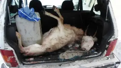 Zakon.kz, фото - Новости Zakon.kz от 21.01.2015 01:36