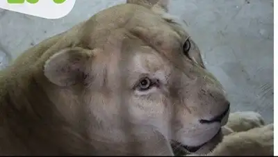 Instagram, фото - Новости Zakon.kz от 05.06.2018 20:00