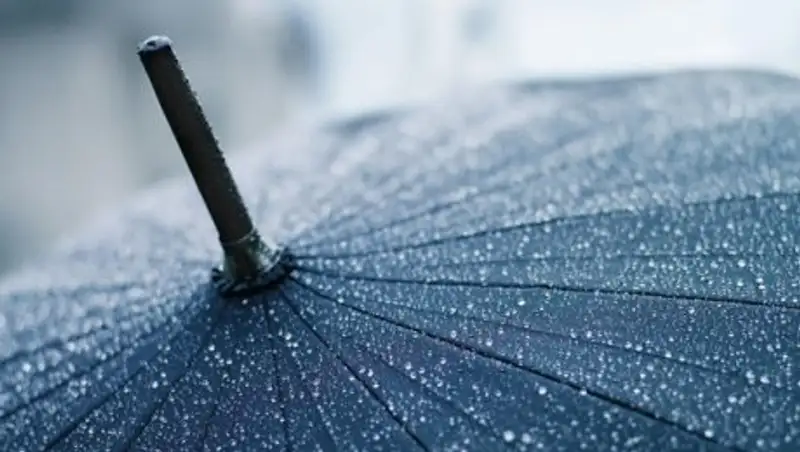 Гололед и мокрый снег обещают синоптики на юге Казахстана