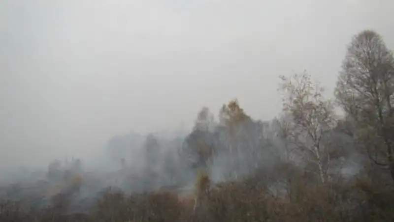 Жителей Тараза тревожит постоянный запах гари