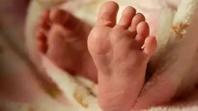 Zakon.kz, фото - Новости Zakon.kz от 08.07.2016 06:09