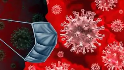 knews, фото - Новости Zakon.kz от 28.10.2020 16:57