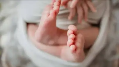 pixabay.com, фото - Новости Zakon.kz от 19.10.2021 09:16