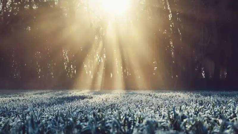 В Казахстане ожидается постепенное ослабление морозов