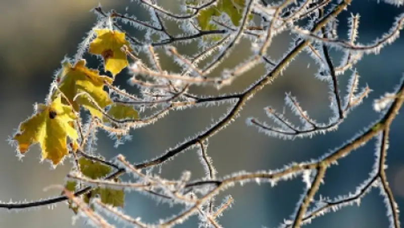 В Казахстане на выходных ожидаются заморозки, осадки и гололед