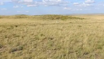 Zakon.kz, фото - Новости Zakon.kz от 23.01.2017 21:13