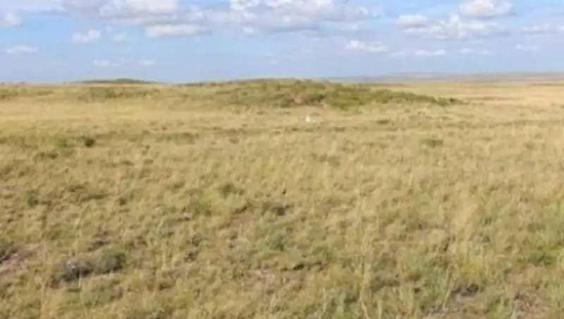 В акимате Актау опровергли информацию о выдаче земли под ИЖС очередникам