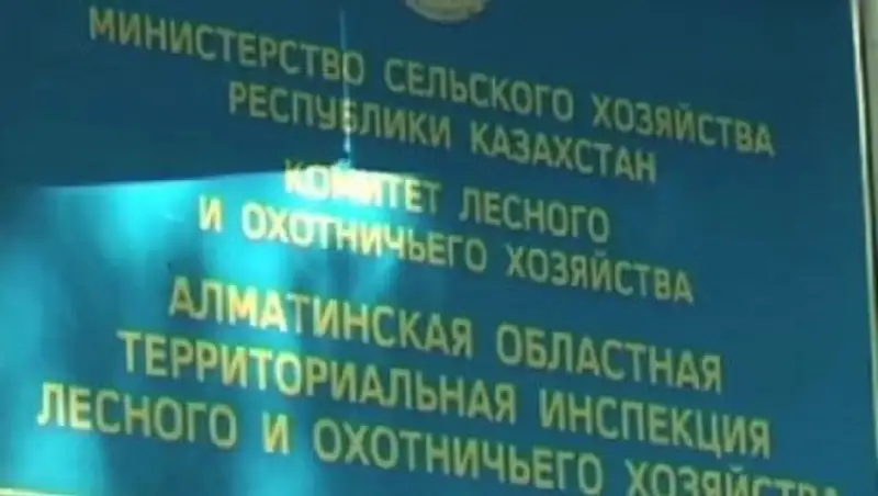Прокуратура Алматинской области предлагает «чистку» природоохранных организаций