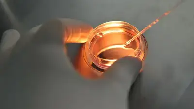 омикрон-штамм, фото - Новости Zakon.kz от 07.12.2021 16:38