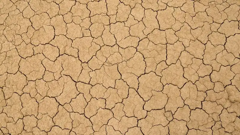 Как улучшить глинистую почву